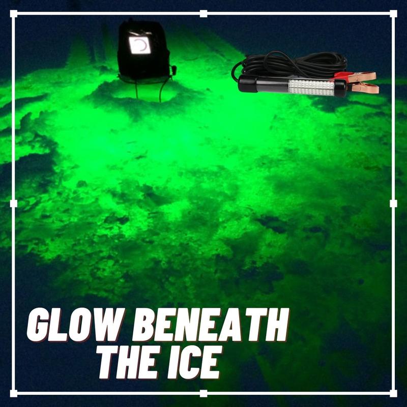 Groen vislicht - Afbeelding 2