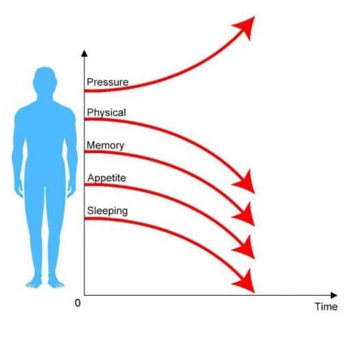 Acupunctuur Massage Yogamat - Afbeelding 4