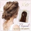 Elegante eenvoudige knot haarspeld