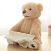 Peek a Boo-pratende teddybeer