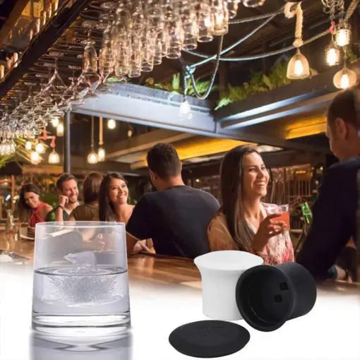 IJsblokjesvormpjes in de vorm van een ijsbeer en pinguïn